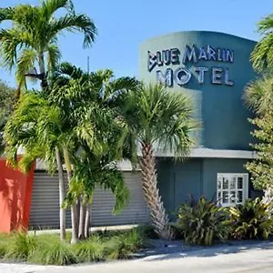 Blue Marlin USA